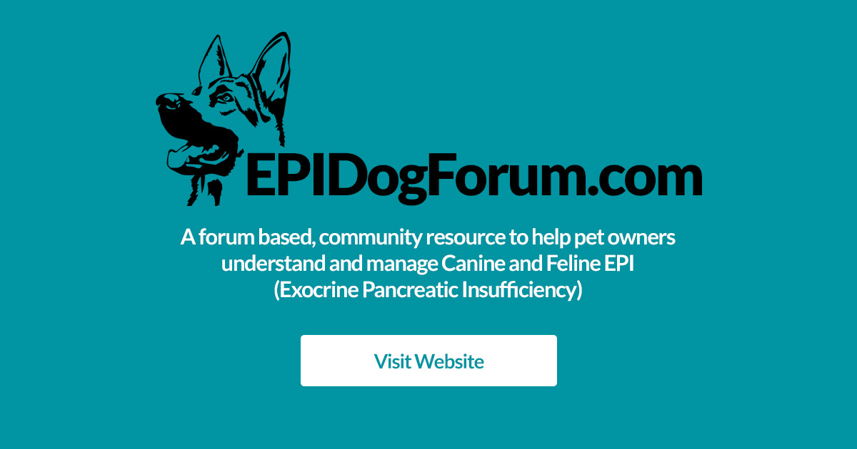 what does epi in dogs mean